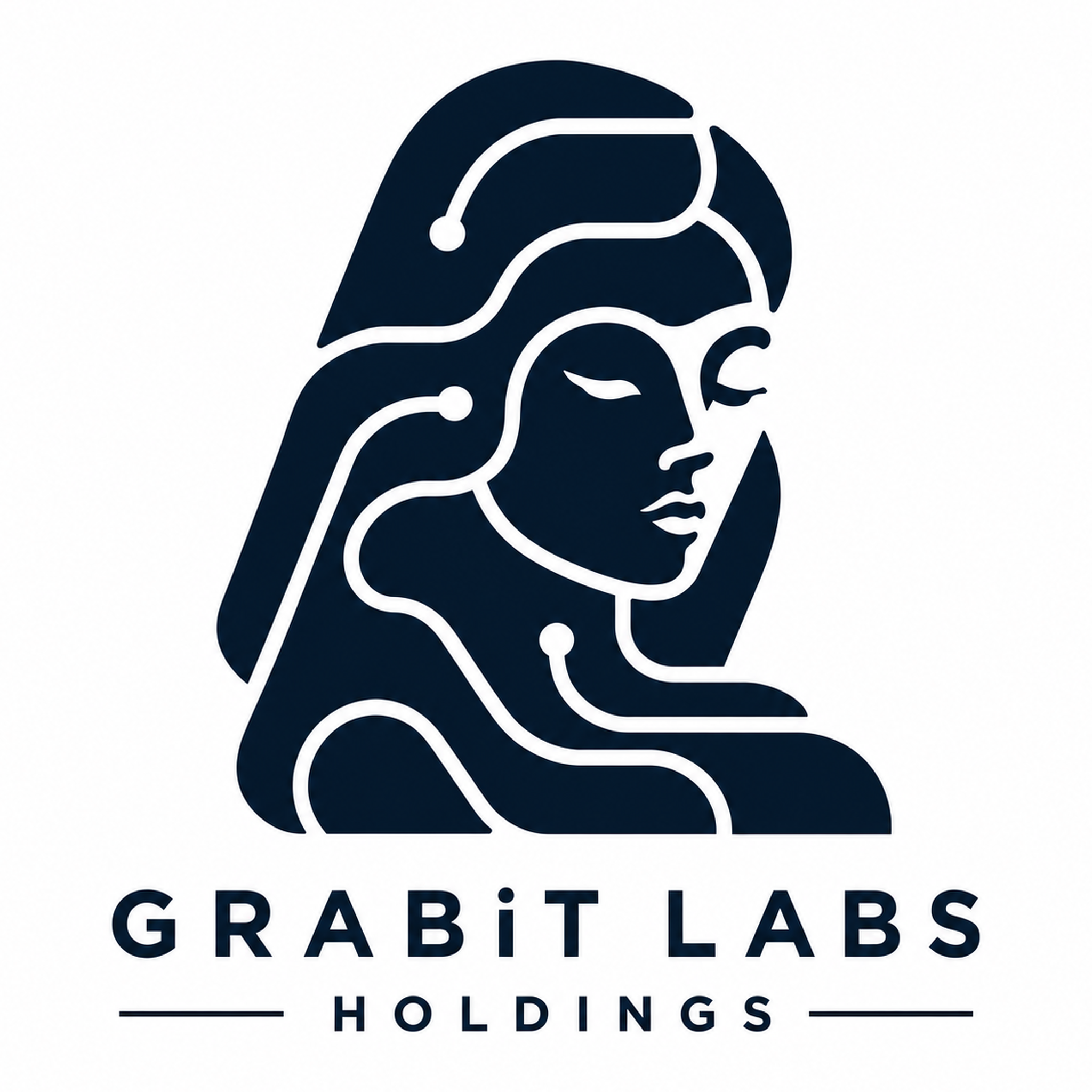 GRABiT Labs Holdings